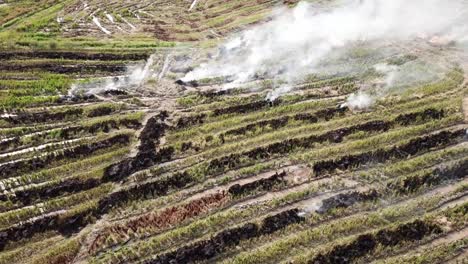 Aerial-open-fire-happen-in-paddy-farm-to-clear-waster-of-harvesting.